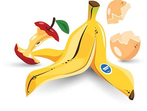 Food Scraps Clip Art, Vector Images & Illustrations - iStock