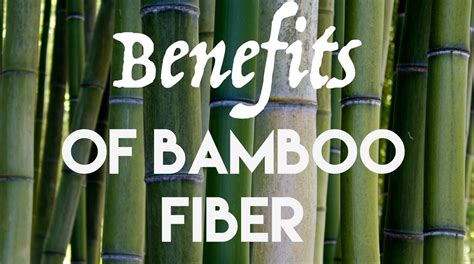 5 Top Benefits of Bamboo Fiber - Bamboo Bob