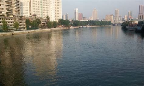 Award-winning rehab of 'biologically dead' Pasig River: How it happened