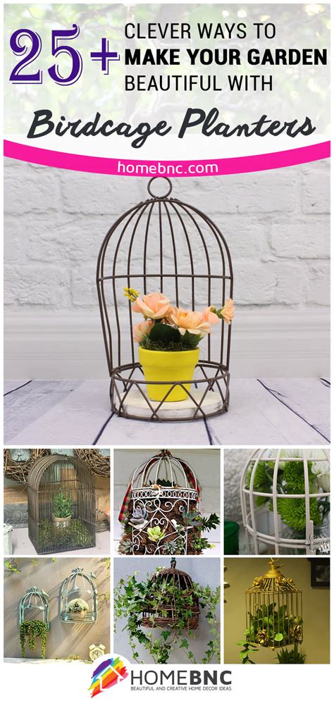 Birdcage Planter Ideas — Homebnc