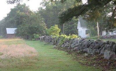 Stone fence beside my grandparent's old farmhouse | Stone fence, Old ...