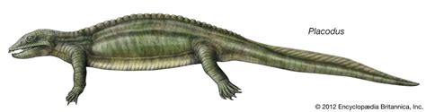 Sauropterygian | Fossil Aquatic Reptiles, Nothosaurs, Pistosaurs & Plesiosaurs | Britannica