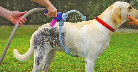 This 360 Degree Dog Shower Hose Attachment Makes For Super Easy Dog Baths