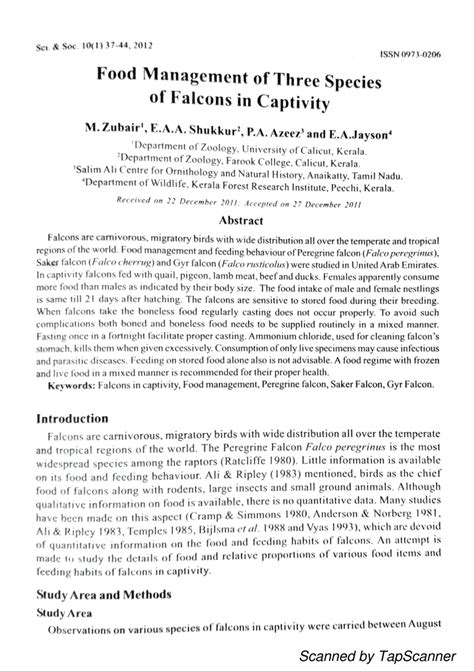 (PDF) Food Management of Three species of falcons in captivity in UAE