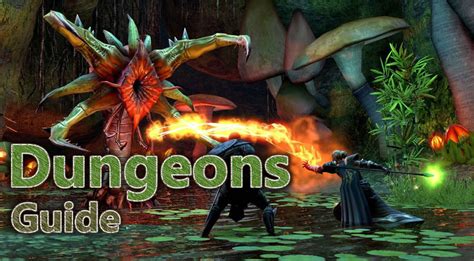 Beginners Overview of Dungeons