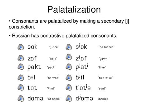 PPT - Secondary Articulations + Vocal Tract Physiology PowerPoint ...