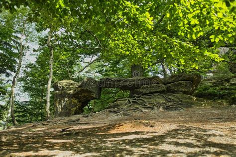 Hiking in Saxon Switzerland Stock Image - Image of hiking, rocky: 271613245