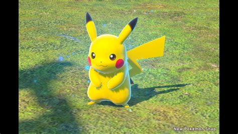 Pikachu - Photodex - New Pokémon Snap Wiki - Grindosaur