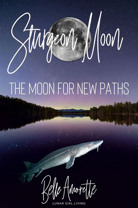 August Sturgeon Moon in 2021 | Sturgeon moon, Moon activities, What is spirituality