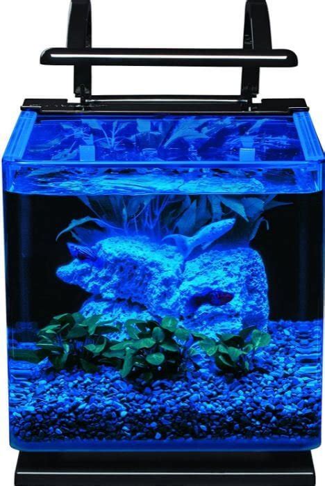 10 Best Nano Reef Tanks Reviewed [Buyers Guide - 2022]