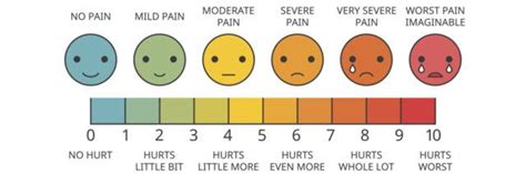 Likert Scale: Examples and Definition - Mentimeter