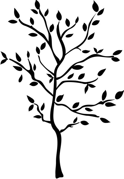 Tree Branch Wood Free Vector Graphic On Pixabay Pixab - vrogue.co