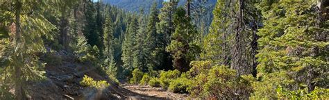 Union Creek Trail to Union Lake, California - 14 Reviews, Map | AllTrails