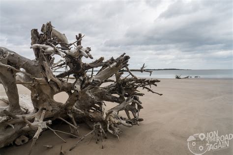 Boneyard Beach on Big Talbot Island - Jon the Road Again - Travel and photography by Jonathan Rundle