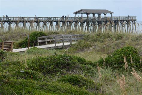 Myrtle Beach State Park - MyrtleBeach-SC.com