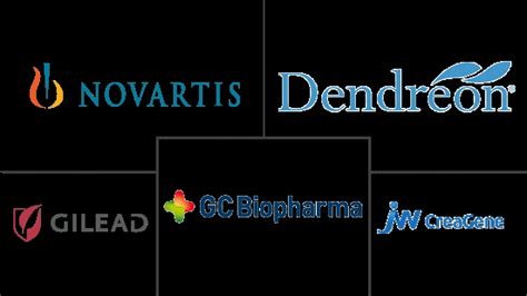 Global Cell Based Immunotherapy Companies - Top Company List