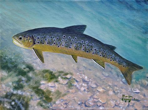 Brown Trout Art Print Wall Art Fishing Painting - Etsy