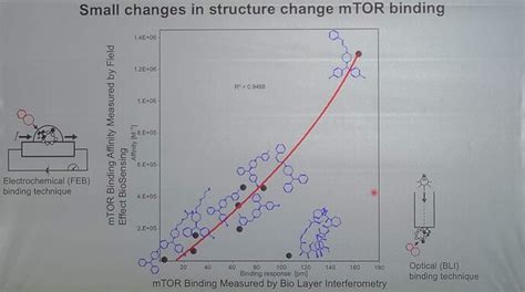 Meclizine / Dramamine II, Approx 15% Lifespan Increase, Another mTORC1 Inhibitor - Rapamycin ...