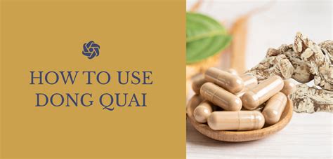 Explore 10 Amazing Benefits of Dong Quai Root for Health