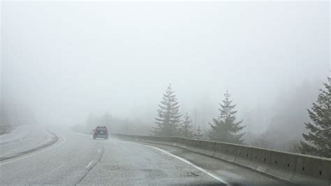 The Dos and Don’ts of Driving in Fog - AMA