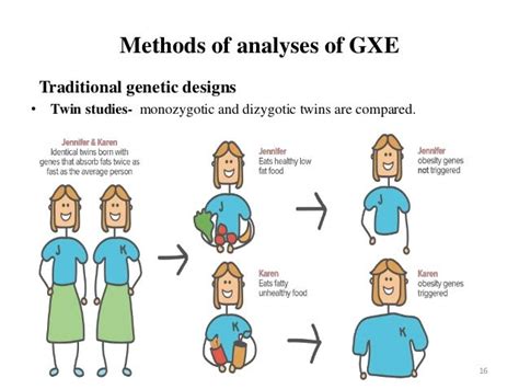 Genotype environment interaction