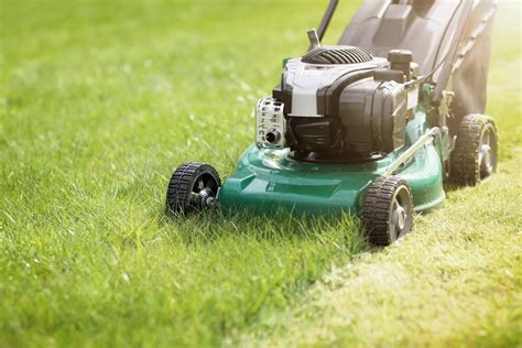 Different Types Of Lawn Mowers - Understanding Your Lawn Mowing Options ...