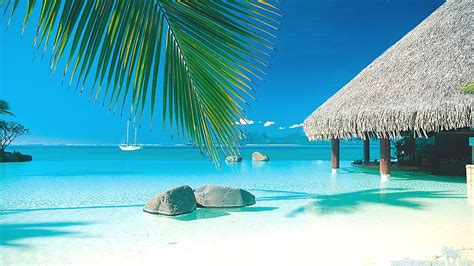 Tropical Beach Screensavers And Wallpaper (67+ images)