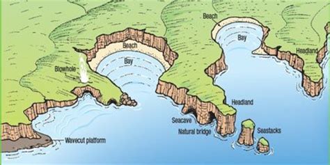 Coastal Landforms And Diagram