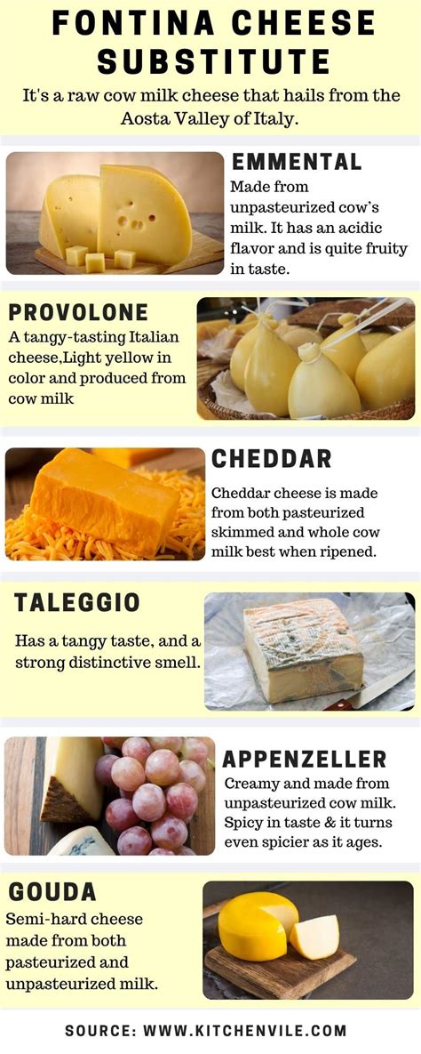 13 Fontina Cheese Substitute- [Types of Cheese to Replace Fontina ...