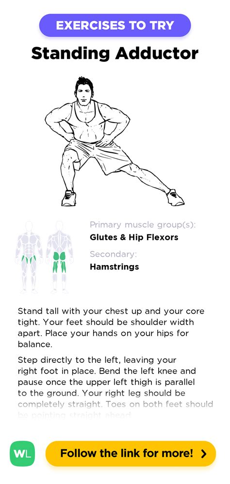 Standing Adductor / Adduction Stretch – WorkoutLabs Exercise Guide