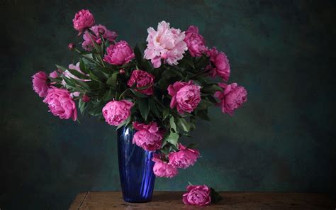 Peonies Wallpaper (58+ images)