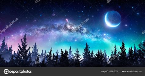 Resultado de imagen para paisajes de bosques de noche | Starry night sky, Night skies, Forest ...