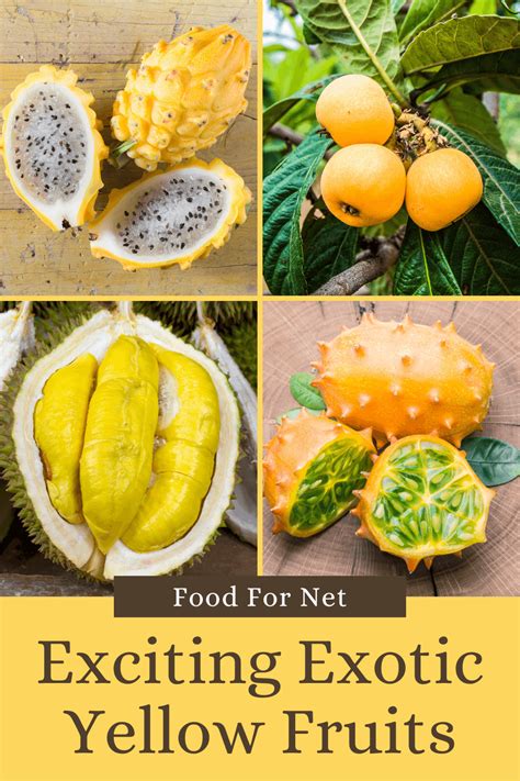 34 Exotic Yellow Fruits In All Shapes And Sizes | Food For Net