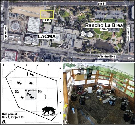 (A) Map of Hancock Park in Los Angeles, California, highlighting the... | Download Scientific ...