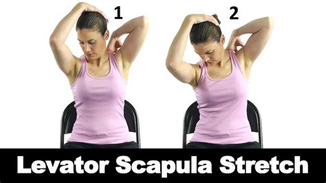 Levator Scapula Stretch - Ask Doctor Jo - YouTube