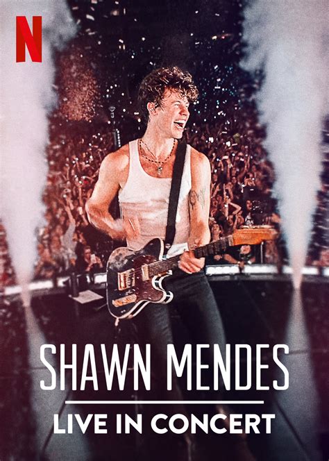 Shawn Mendes Live In Concert – InSync Plus