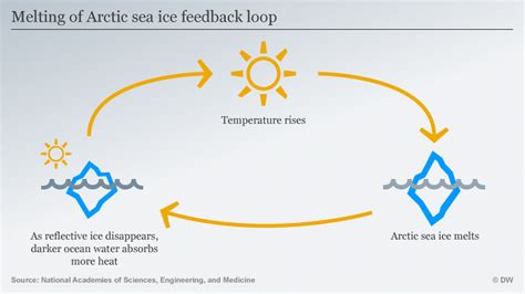 Positive Feedback Loop Global Warming Example