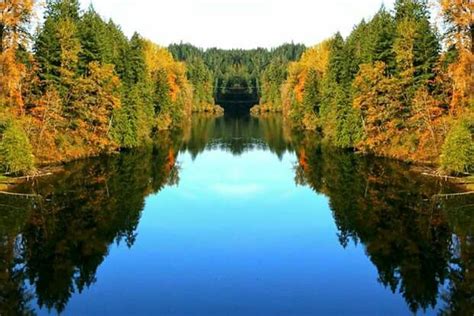 Clackamas River - Estacada, OR | Oregon travel, Oregon, River