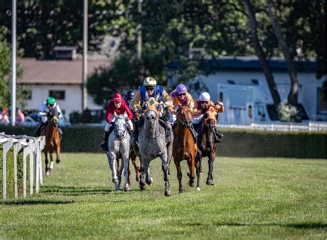 Four of the Biggest Horse Races in the World You Must Visit - Eclipse Magazine