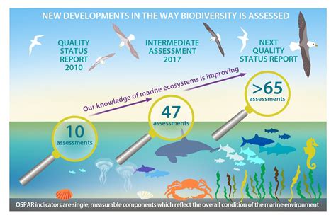 Marine IA2017 - New developments in the way biodiversity is assessed ...