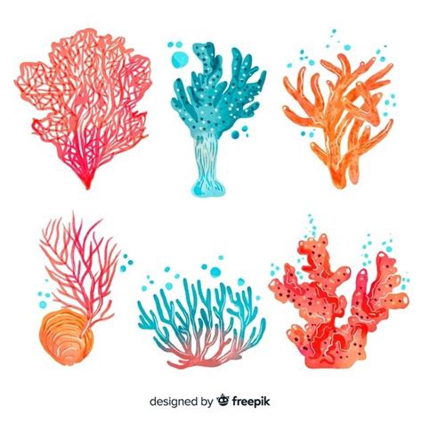 Free Vector | Watercolor coral collection | Coral painting, Coral watercolor, Coral art