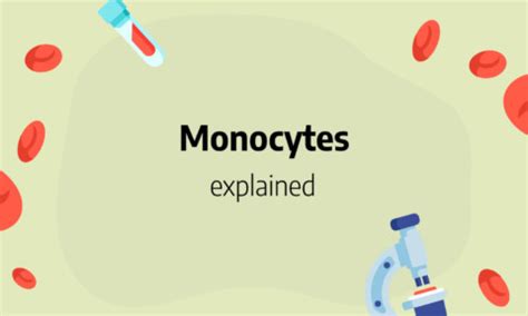 Monocytes: low, high, absolute count and normal range, causes