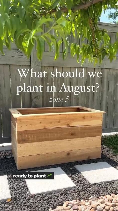 Easy DIY Cedar Planter Boxes for my Garden! in 2022 | Diy cedar planter ...