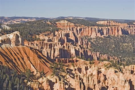 Birding in Garfield County, Utah