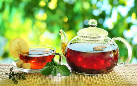 Top 6 Best Weight Loss Tea to Decrease 7.3 Pounds Dramatically