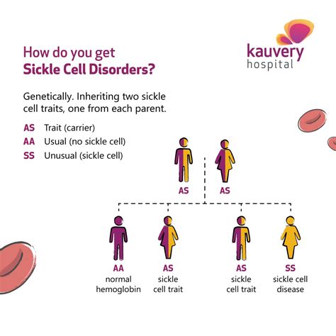 Sickle Cell Disease: An Overview