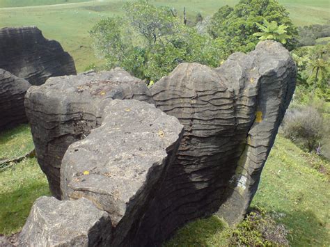 File:Limestone Formation In Waitomo.jpg - Wikipedia