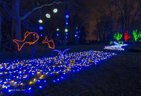 Meadowlark Winter Walk of Lights at Meadowlark Botanical Gardens in Vienna, Virginia | Christmas ...