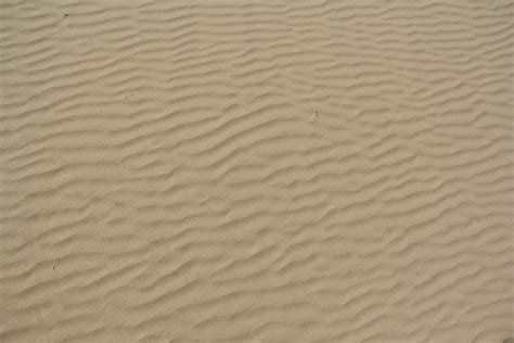 texturex white sand texture light ripples beach dune texture - Texture X