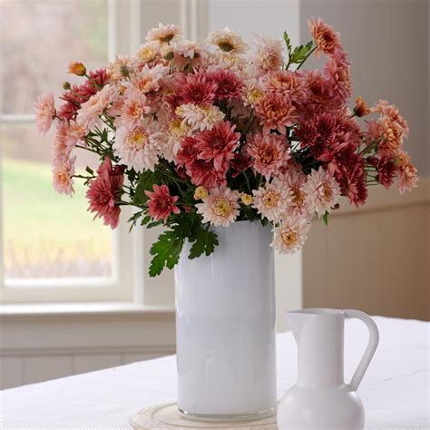 Heirloom Chrysanthemum Bouquet | White Flower Farm